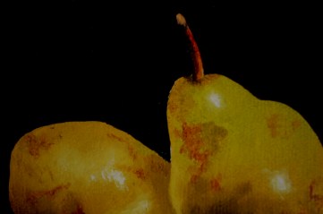 Pears closeup1